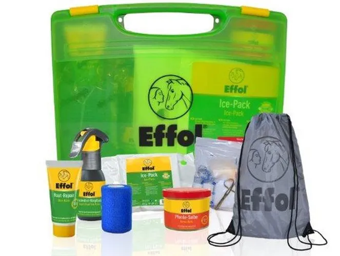 Фото Аптечка первой помощи EFFOL