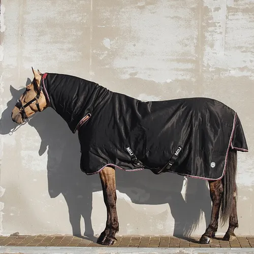 Фото Попона денникова Home 150 гр, с капором.