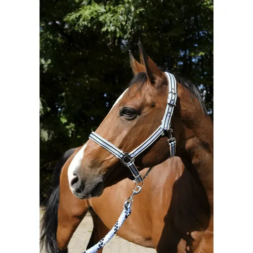 Фото Недоуздок Ligne. Equitheme