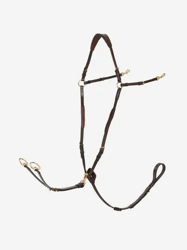 Фото Подперсье с мартингалом Breastplate Havana, кожа. LeMieux