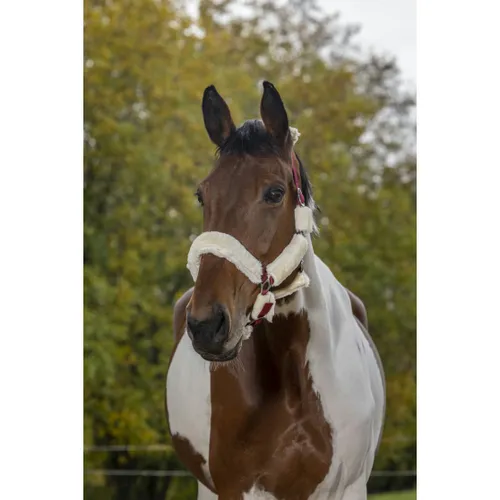 Фото Недоуздок Full Mouton с мехом. Norton