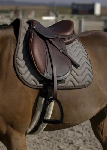 Фото Вальтрап Tweedytan.Equitheme