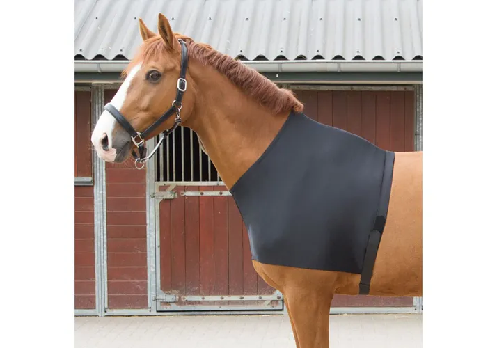 Фото Бандаж из лайкры. Harry's Horse