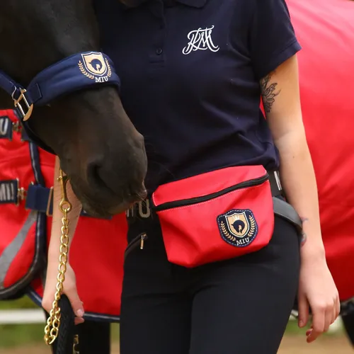 Фото Сумка на пояс Waist Bag