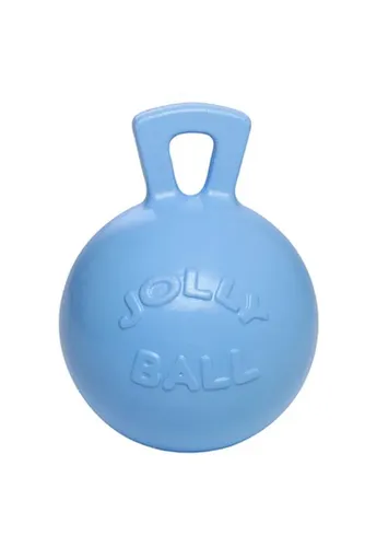 Фото Мяч Jolly Ball Blueberry, 25см., ароматический
