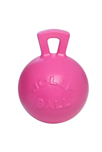 Фото Мяч Jolly Ball Babble Gum, 25см., ароматический