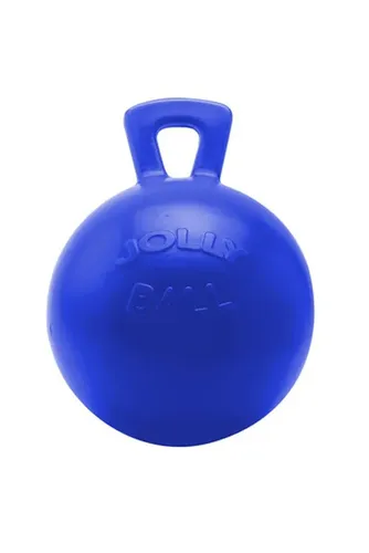 Фото Мяч Jolly Ball Blue, 25см.