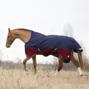 Попона дождевая Singapore, с высокой холкой