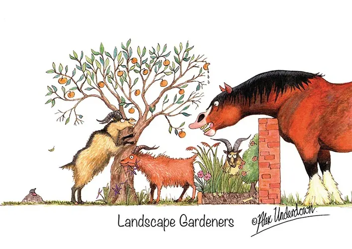 Фото Кружка Landscape Gardeners, 300 мл.