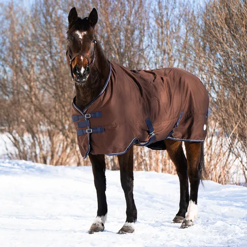 Фото Попона денниковая на флисе Fleece-lined