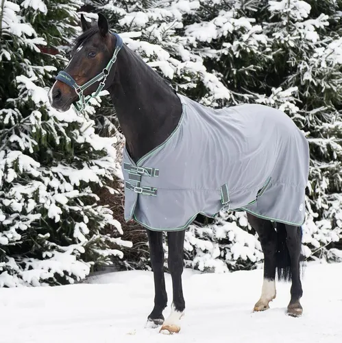 Фото Попона денниковая на флисе Fleece-lined