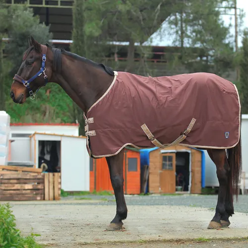 Фото Попона денниковая на флисе Fleece-lined