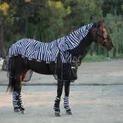 Попона антимоскитная MIU Equestrian Equus Zebra