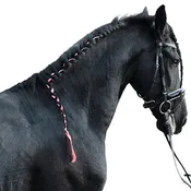 Бинт для заплетания гривы Equilastic. Holland Animal Care