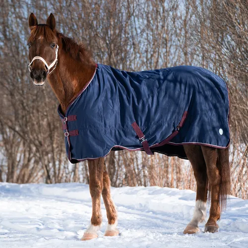 Фото Попона денниковая на флисе Fleece-lined