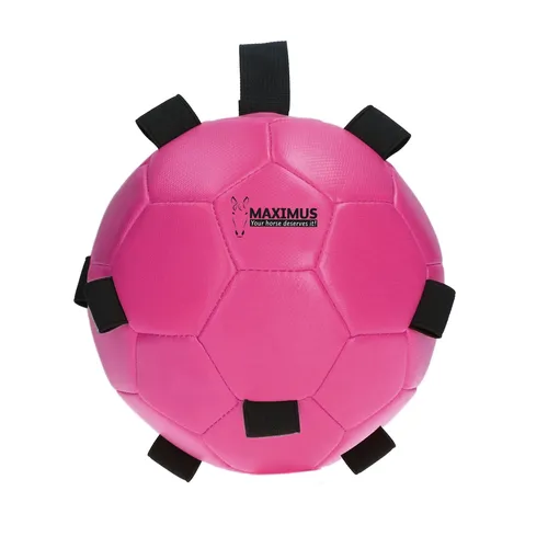 Фото Игрушка Maximus Fun Play Ball Pink. Holland Animal Care