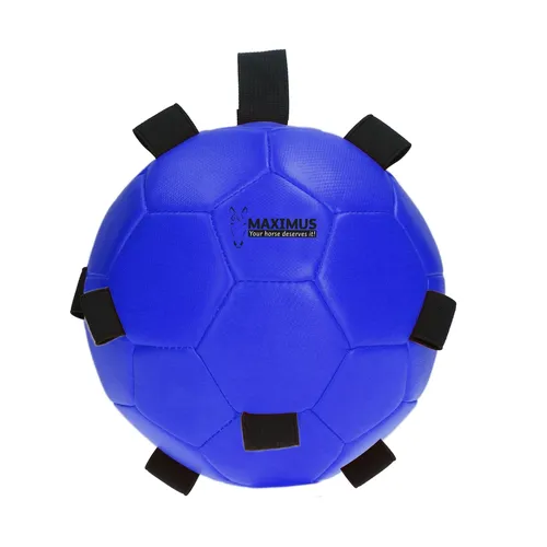 Фото Игрушка Maximus Fun Play Ball Blue. Holland Animal Care