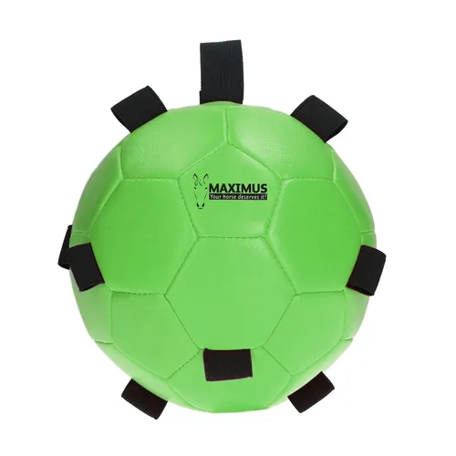 Фото Игрушка Maximus Fun Play Ball Green. Holland Animal Care
