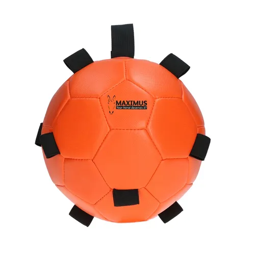 Фото Игрушка Maximus Fun Play Ball Orange. Holland Animal Care