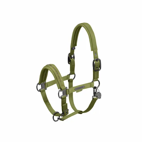 Фото Недоуздок Double Pin Glossy Crystal Moss Green Platinum 24. Eskadron