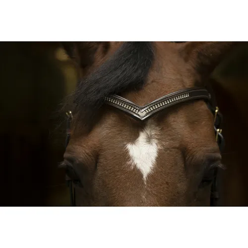 Фото Налобник V Diamond. Norton