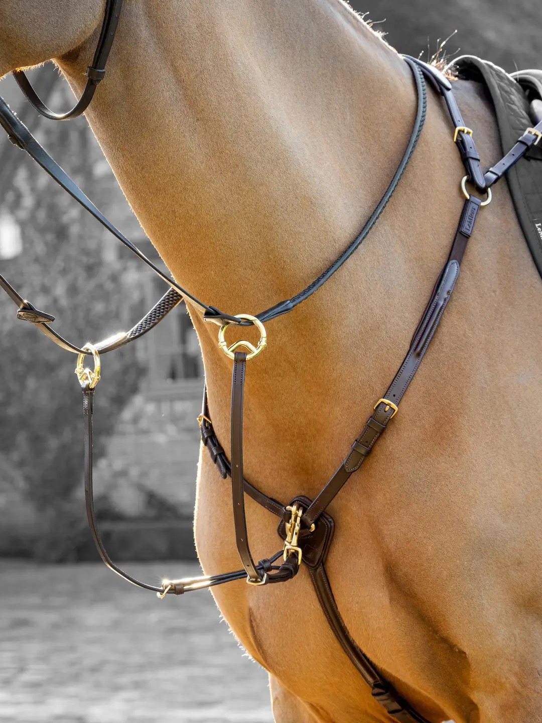 Подперсье с мартингалом Breastplate Havana, кожа. LeMieux 4