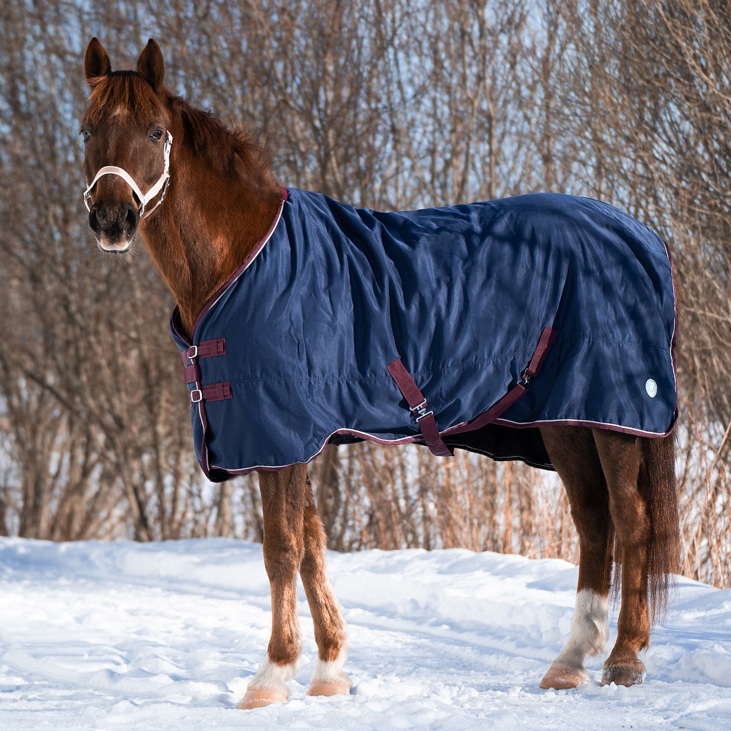 Попона денниковая на флисе Fleece-lined. ПКМ 2