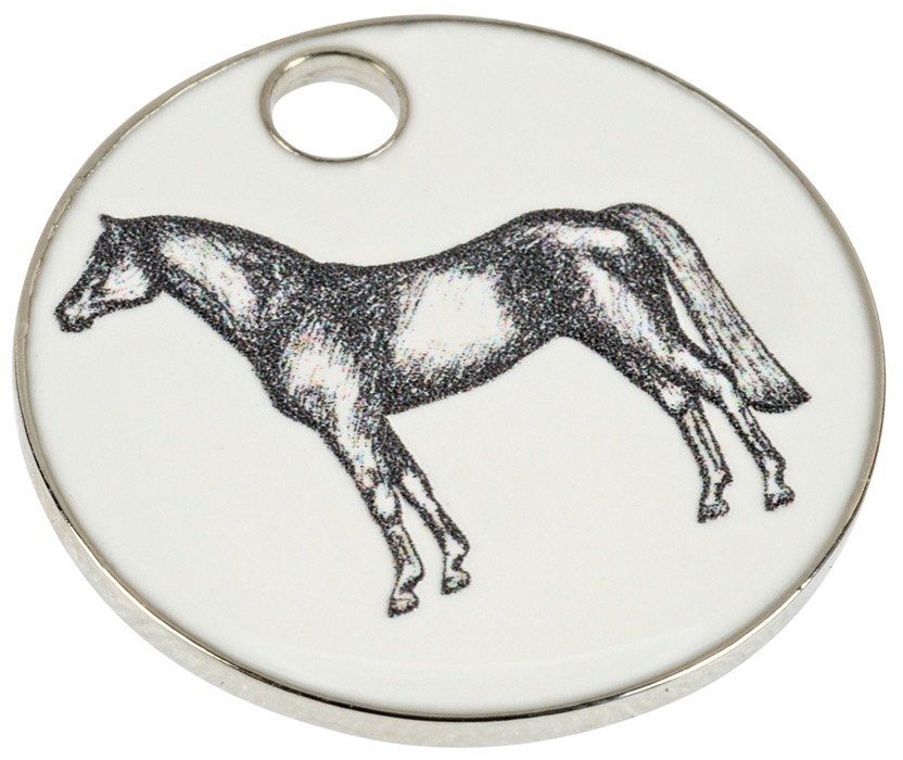 Брелок для ключей с монетой "Horse and Horse Shoe" 2