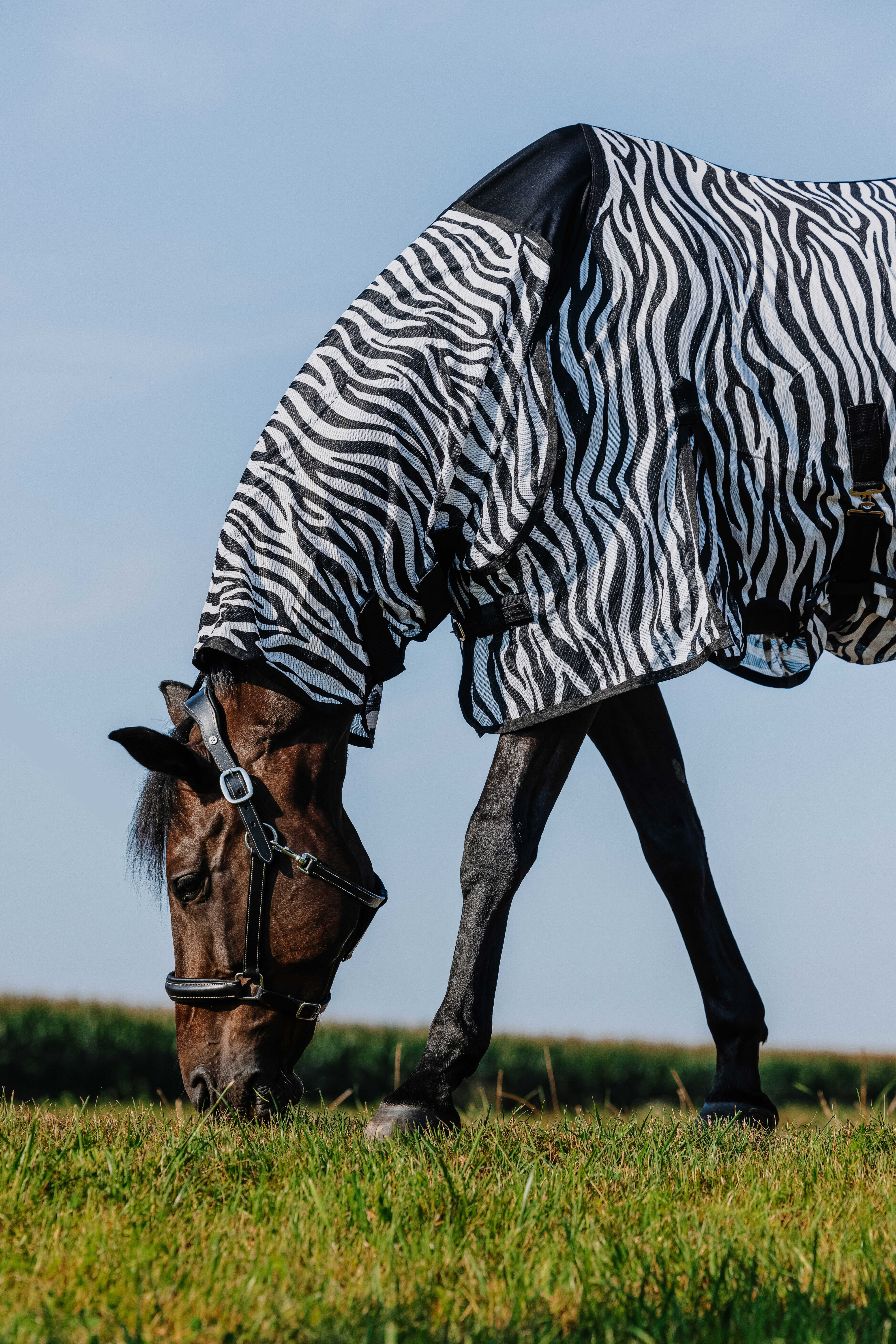 Попона антимоскитная Belly Mesh Zebra. RW 4