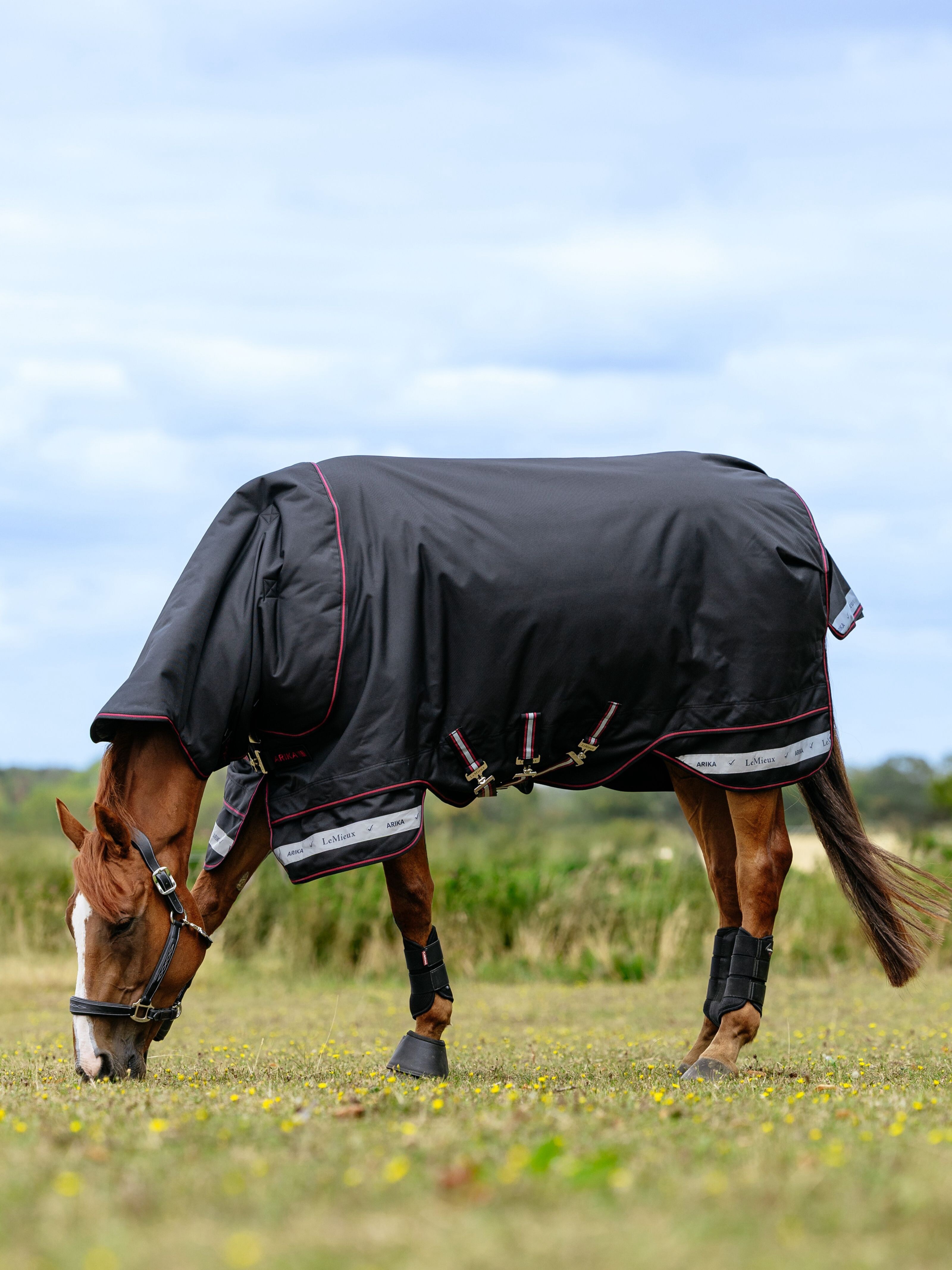 Попона зимняя прогулочная Arika Storm-Tek Rug Black, 350 гр., 1200D. LeMieux 2