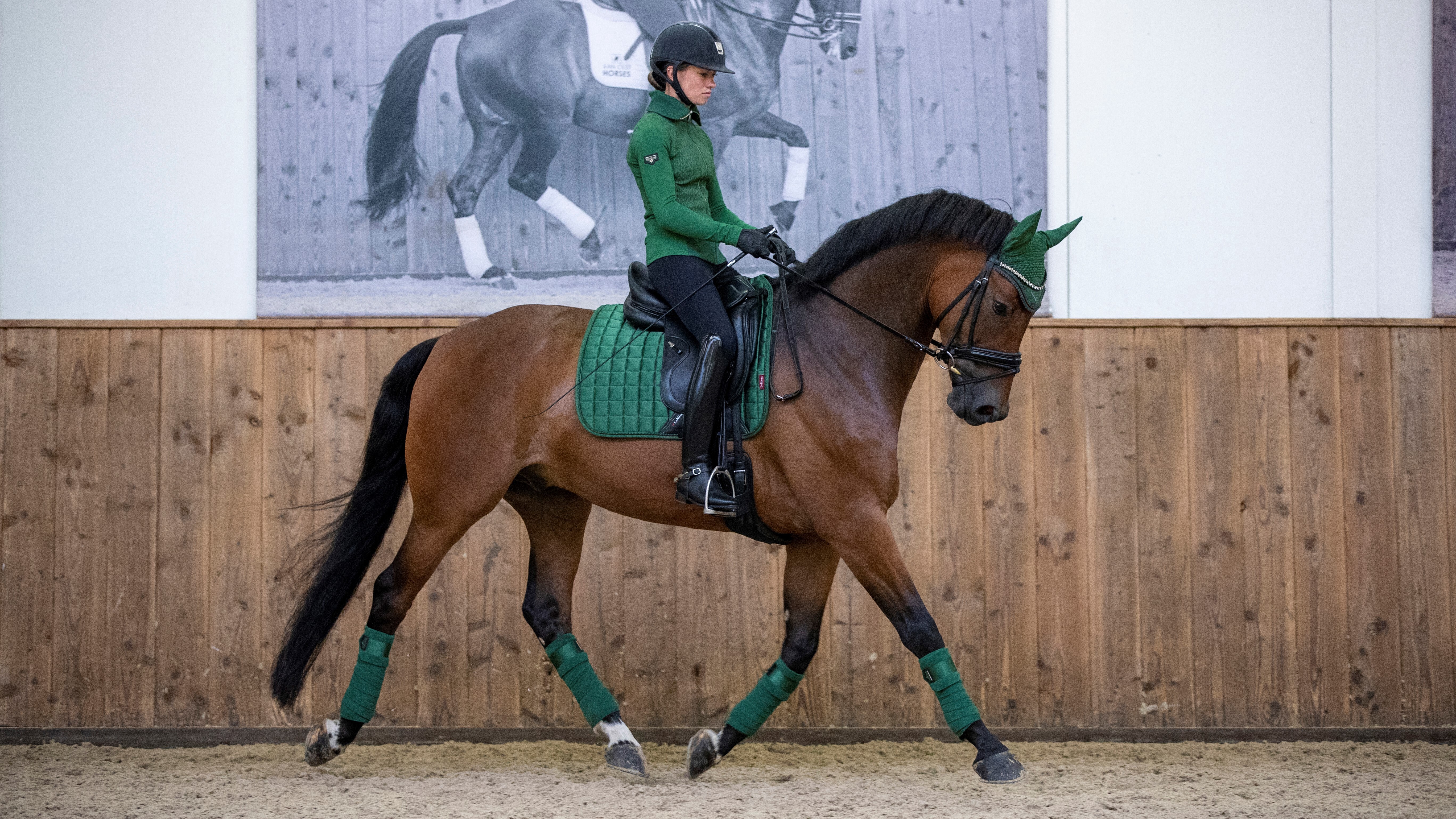 Вальтрап выездковый Loire Classic DR Square Hunter Green. LeMieux 3