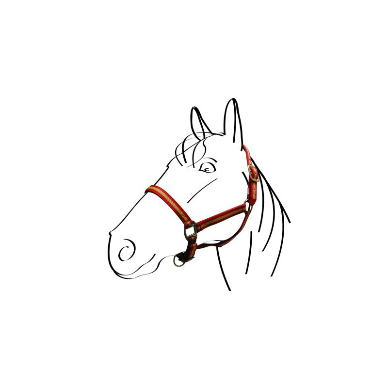 Недоуздок Lined. Norton 5