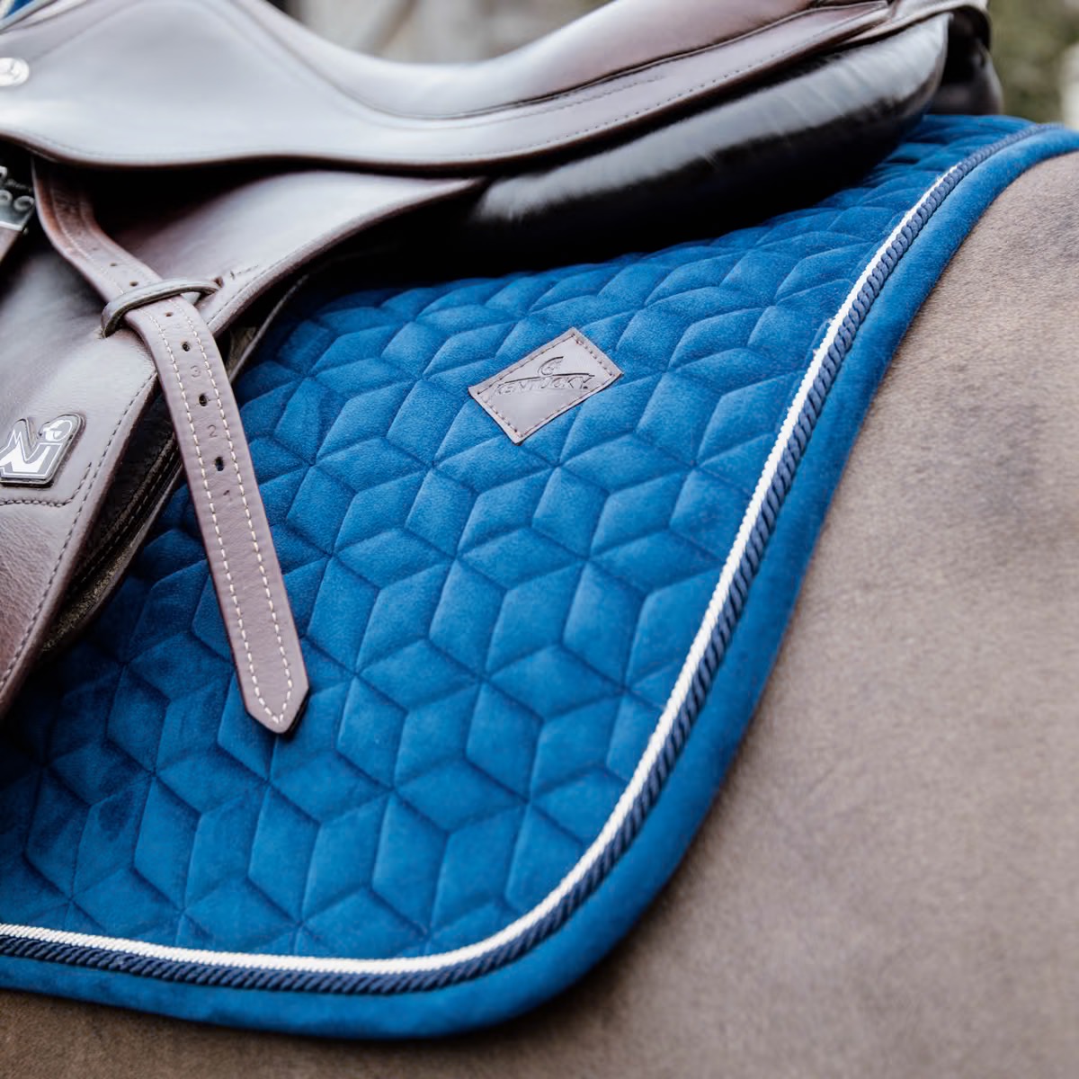 Вальтрап конкурный Basic Velvet Navy. Kentucky 3
