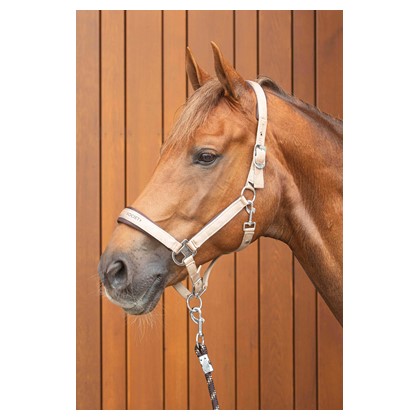 Недоуздок с чомбуром Satin Eli, неопреновая подкладка. Harry's Horse 3