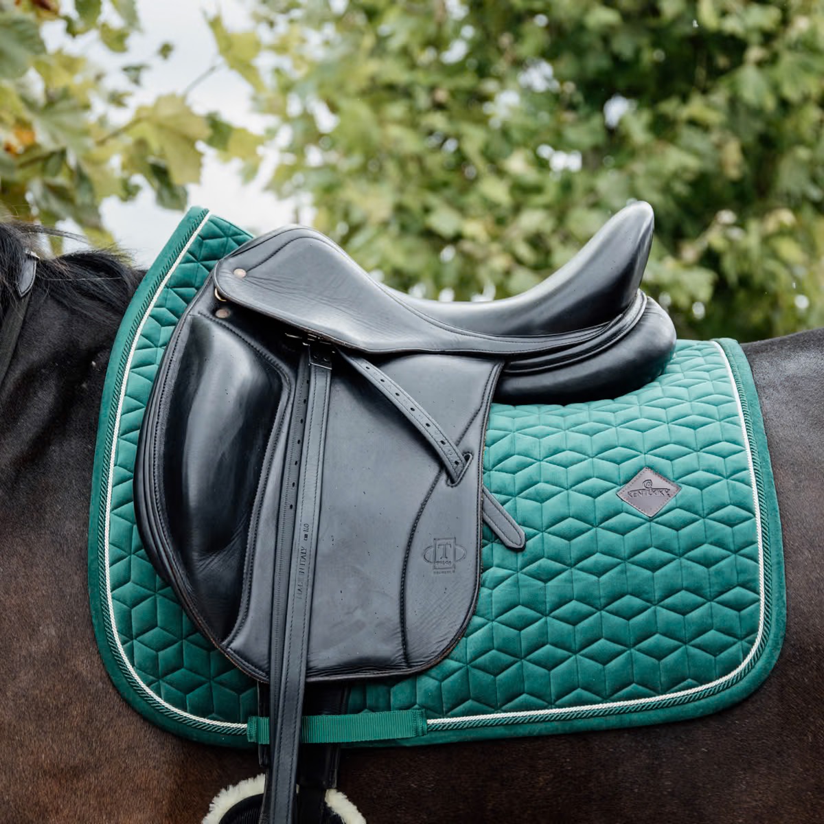 Вальтрап выездковый Velvet Dark Green. Kentucky 2