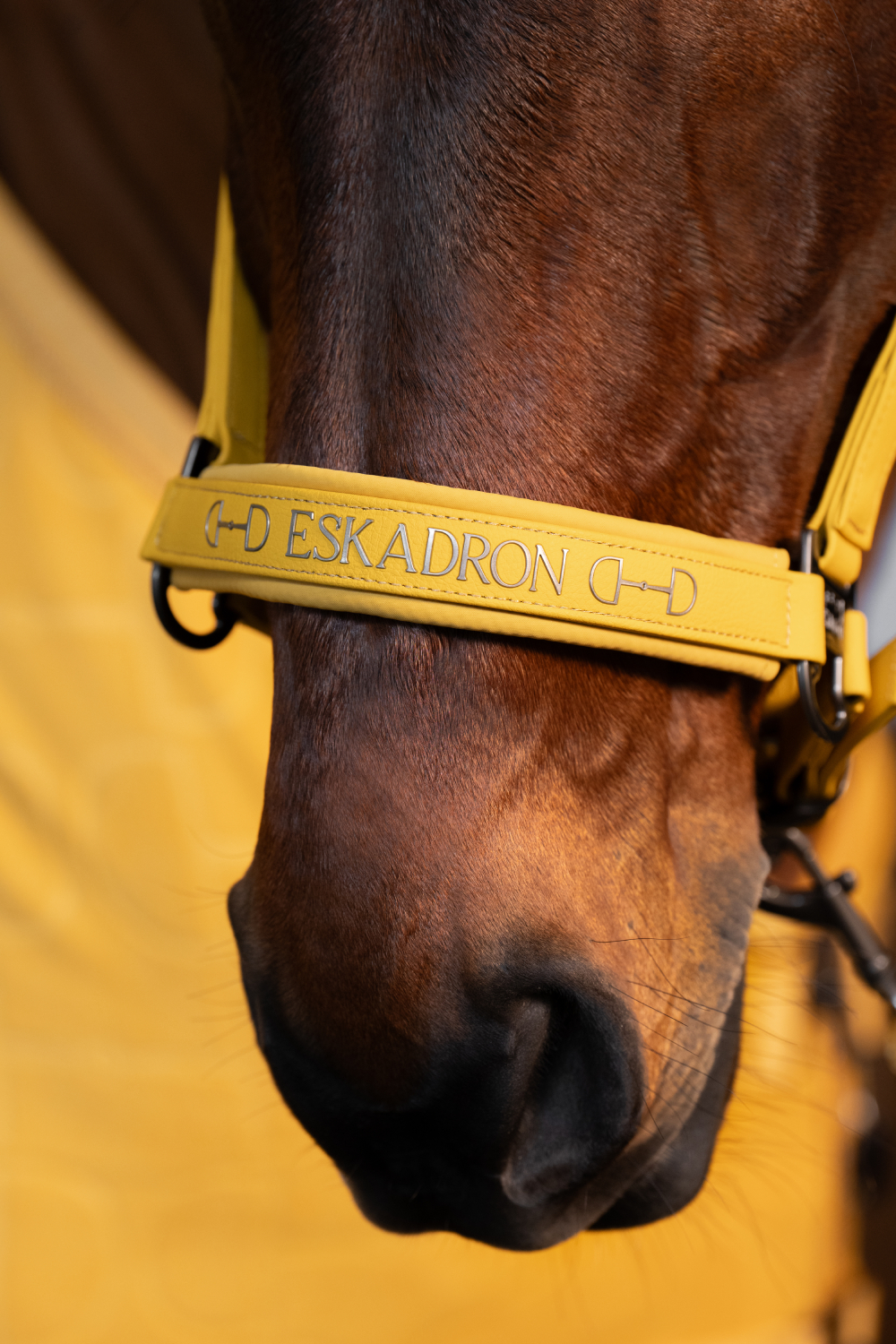 Недоуздок Faux Leather Double Pin Golden Yellow Platinum 25. Eskadron 2