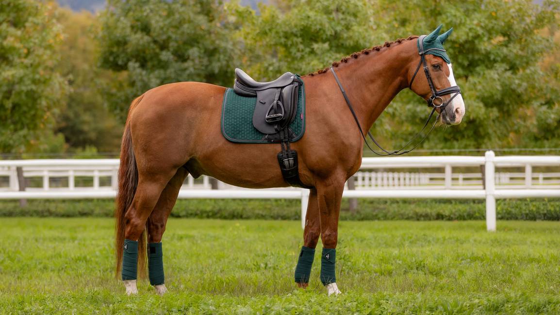 Бинты флисовые Classic Polo Spruce, 4 шт. LeMieux 3