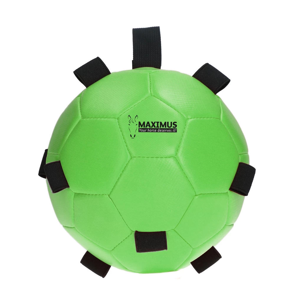 Игрушка Maximus Fun Play Ball Green. Holland Animal Care 2