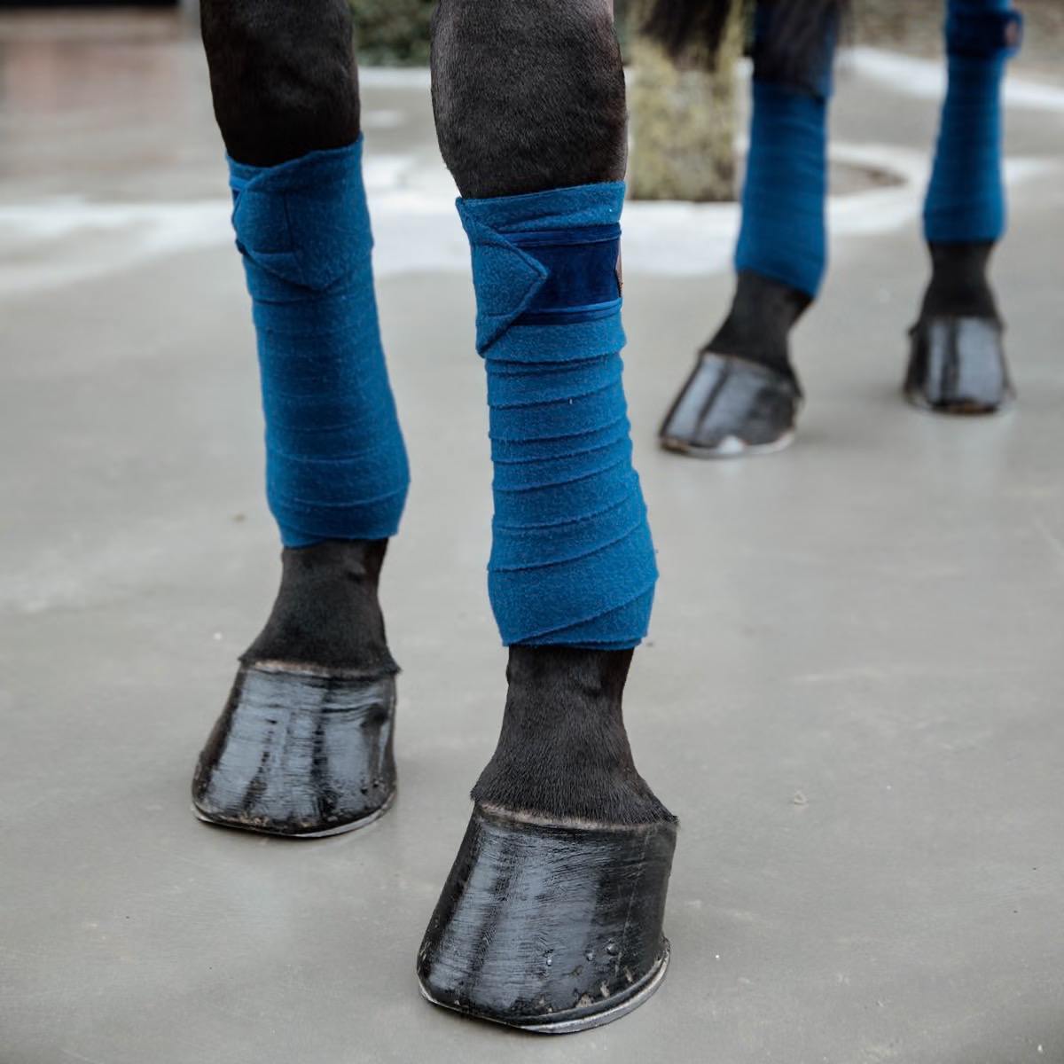 Бинты флисовые Polar Fleece Basic Velvet Navy. Kentucky 3