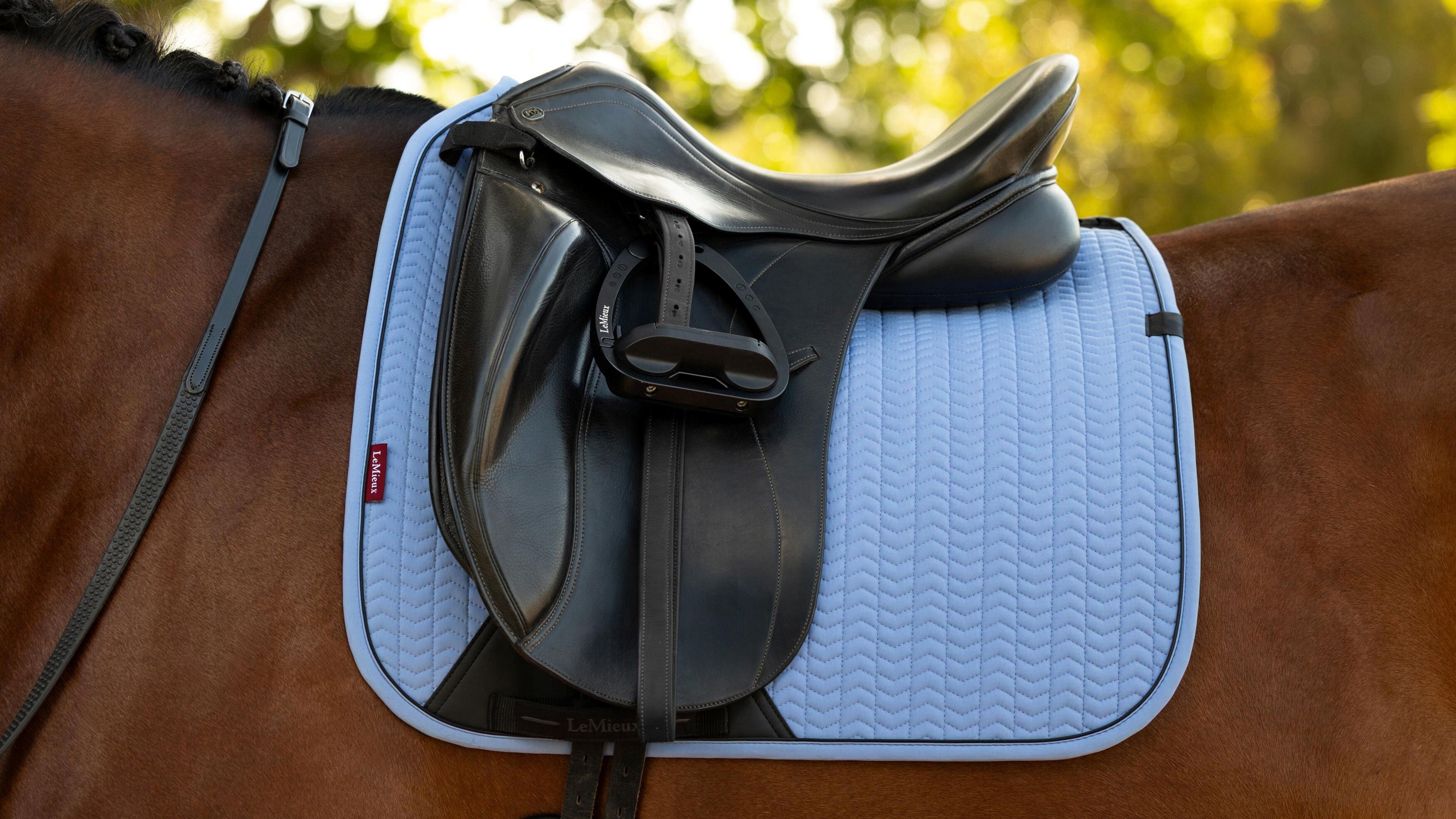 Вальтрап выездковый Essence DR Square Powder Blue. LeMieux 2