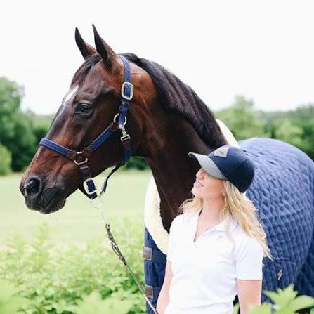 Недоуздок Nylon Navy, комбинированный. Kentucky 3