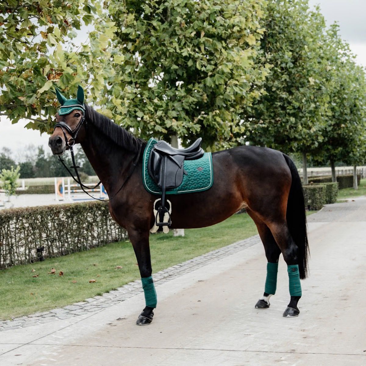 Вальтрап выездковый Velvet Dark Green. Kentucky 5