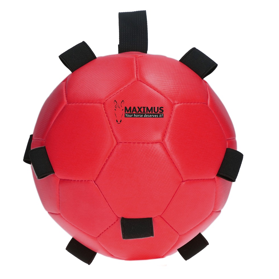 Игрушка Maximus Fun Play Ball Red. Holland Animal Care 2