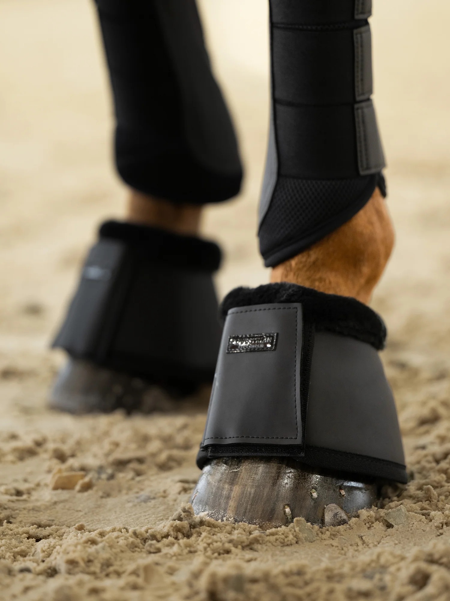 Колокольчики All Black. Equestrian Stockholm 2