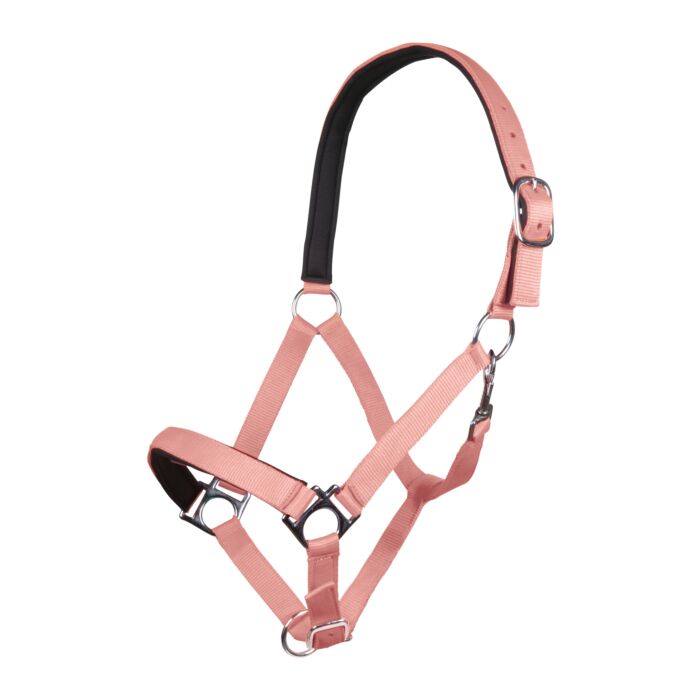 Недоуздок Stars Softice, неопреновая подкладка. HKM