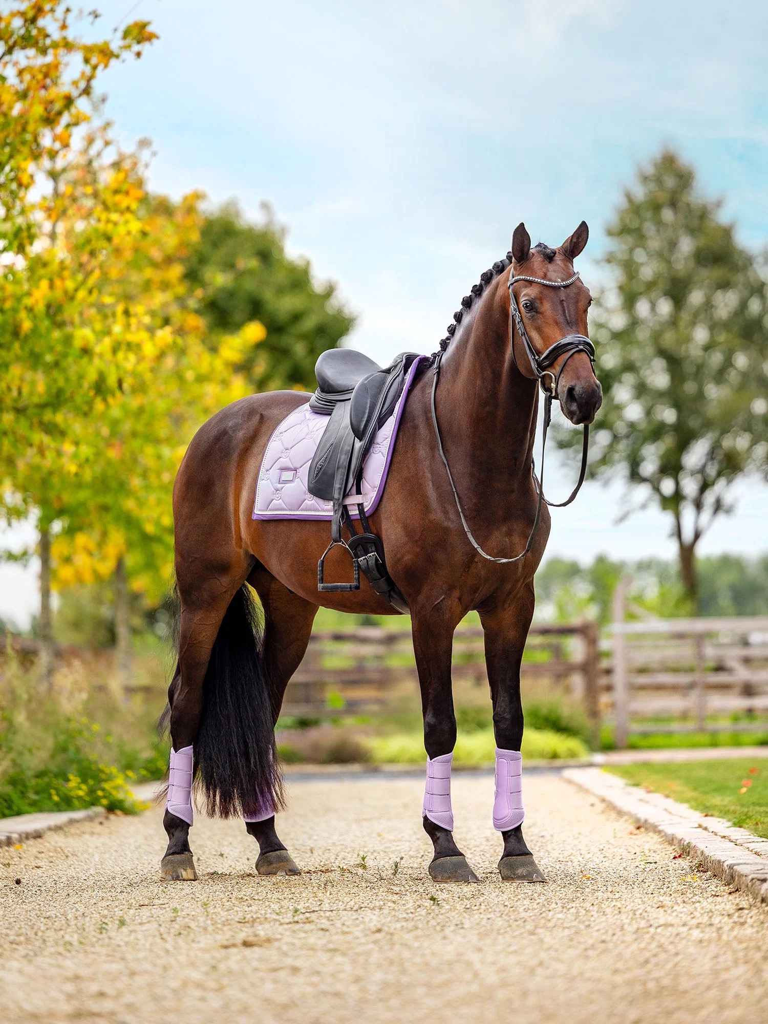 Вальтрап выездковый Lavender. Equestrian Stockholm 5
