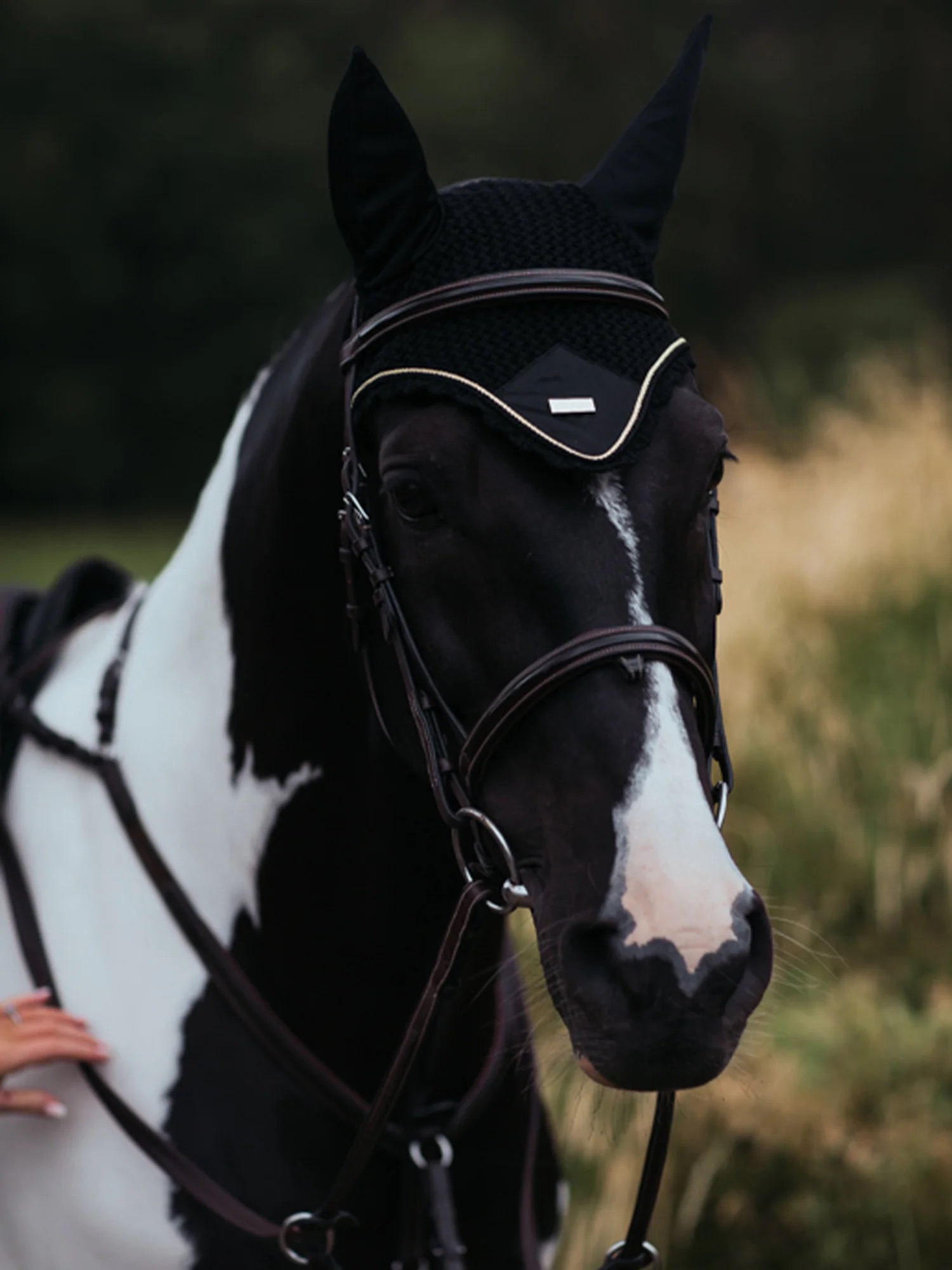 Ушки Black Gold. Equestrian Stockholm 4