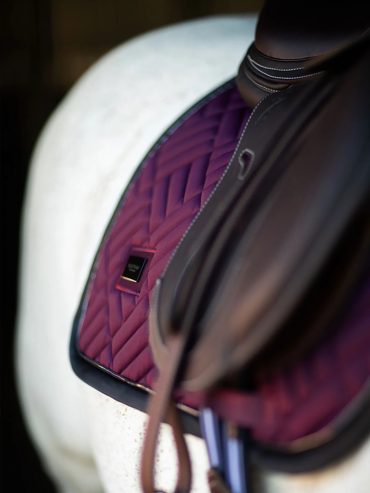 Вальтрап конкурный Modern Purple Night. Equestrian Stockholm 5