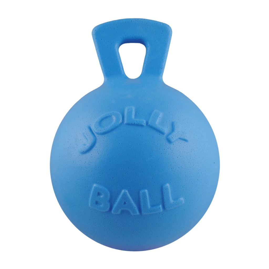 Мяч Jolly Ball Blueberry, 25см., ароматический
