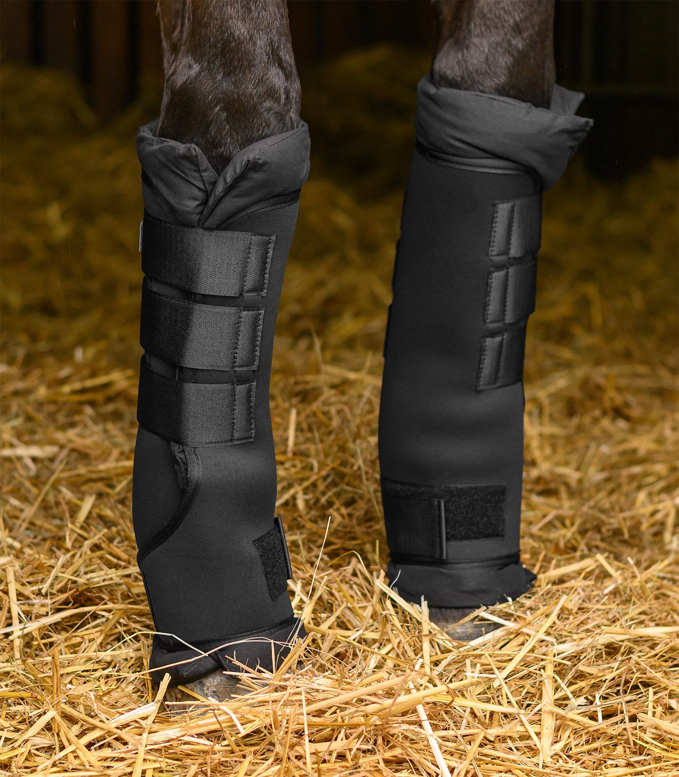 Ногавки денниковые Black, пара. Waldhausen 3